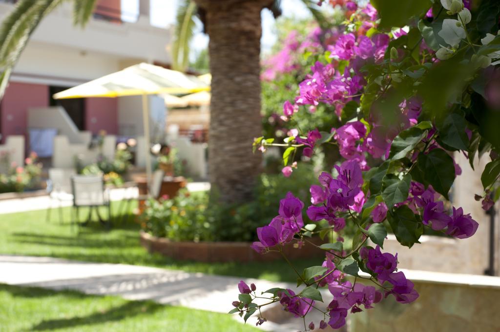 Nikolas Suites كاتو ذاراتسو المظهر الخارجي الصورة